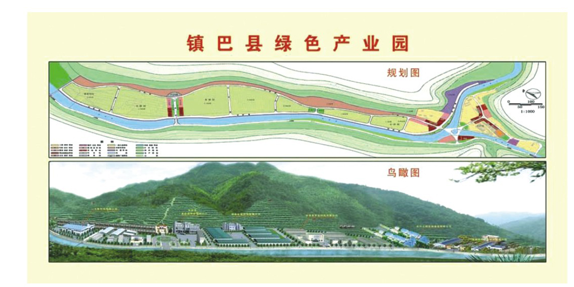 点击查看放大图